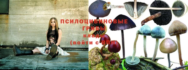Альфа ПВП Верея