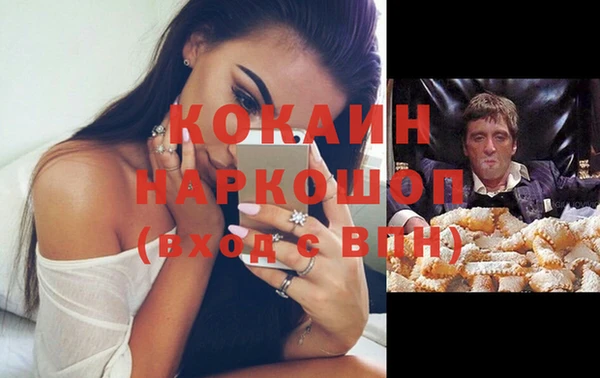 Альфа ПВП Верея