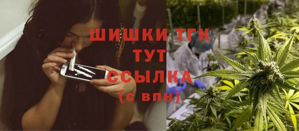 МДПВ Бугульма