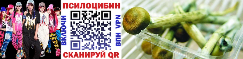 закладка  hydra как войти  Галлюциногенные грибы Cubensis  Абакан 